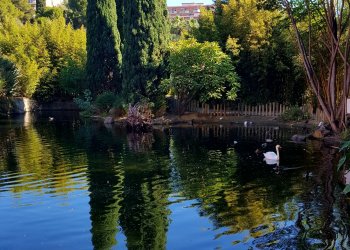 Parque de la Paloma