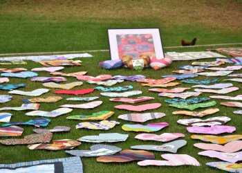 Heart Pillows in Paloma Park