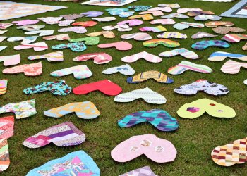 Heart Pillows in Paloma Park